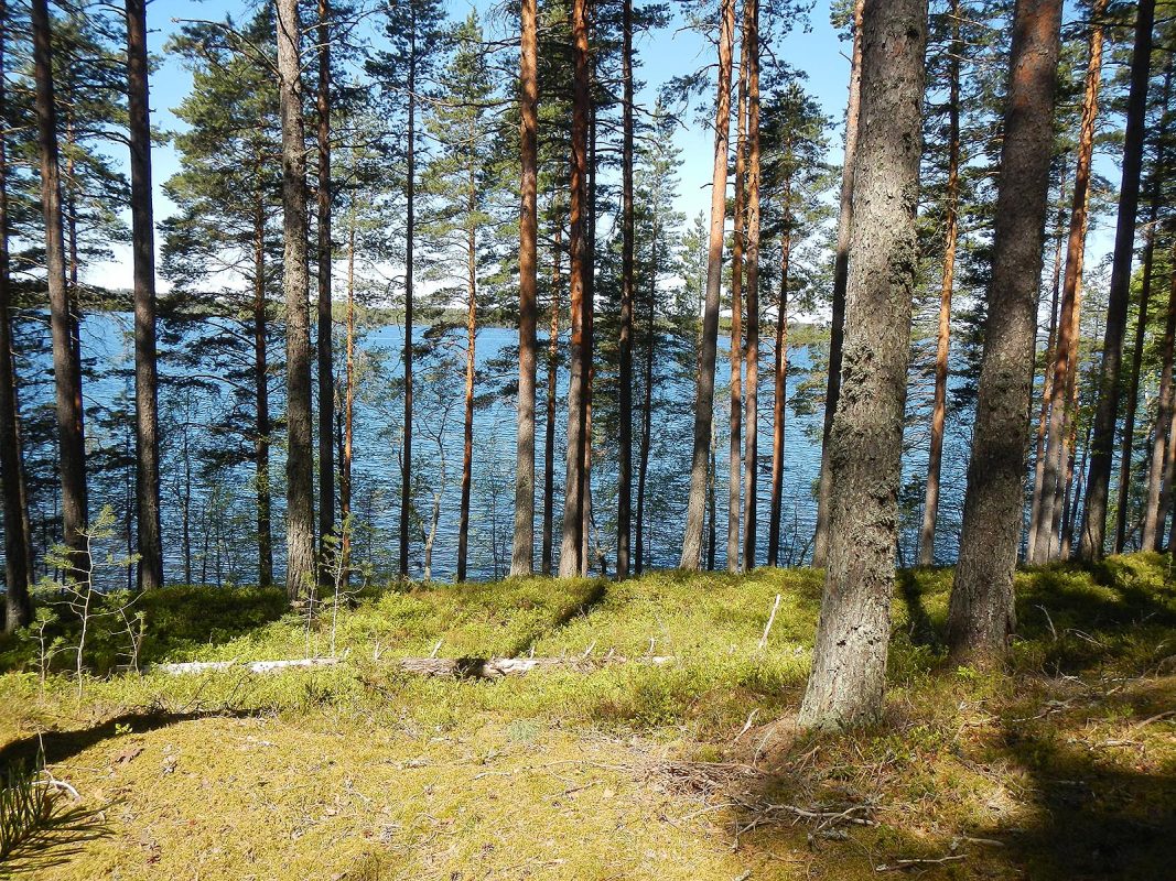 Visit Päijänne