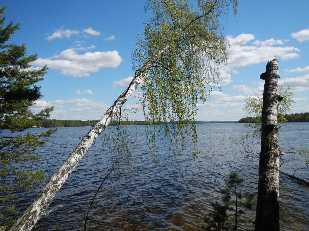 Visit Päijänne