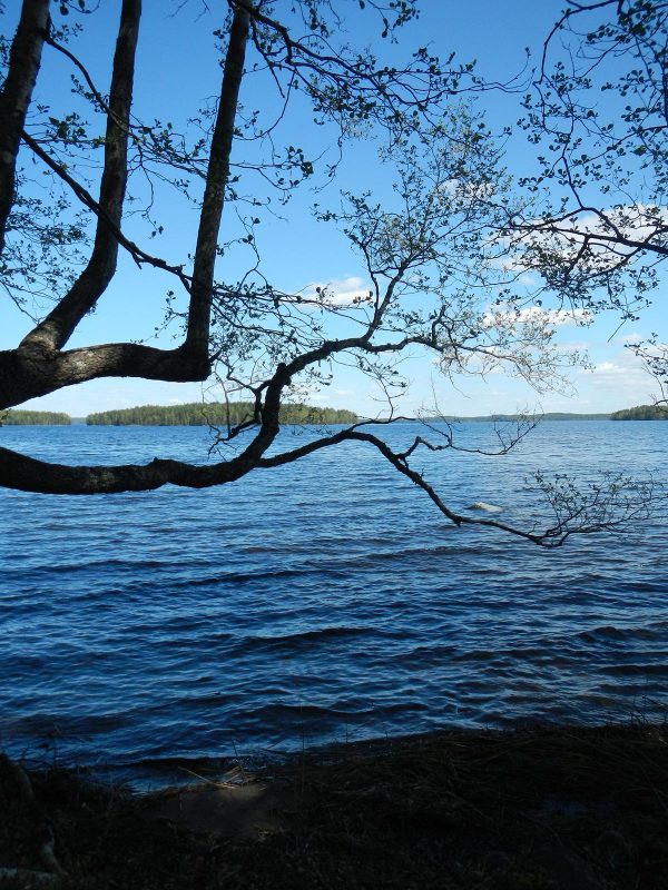 Visit Päijänne