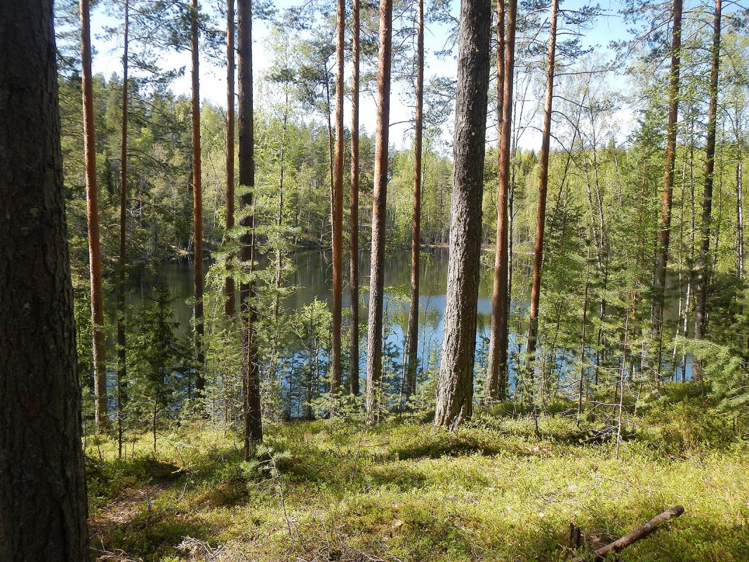 Visit Päijänne