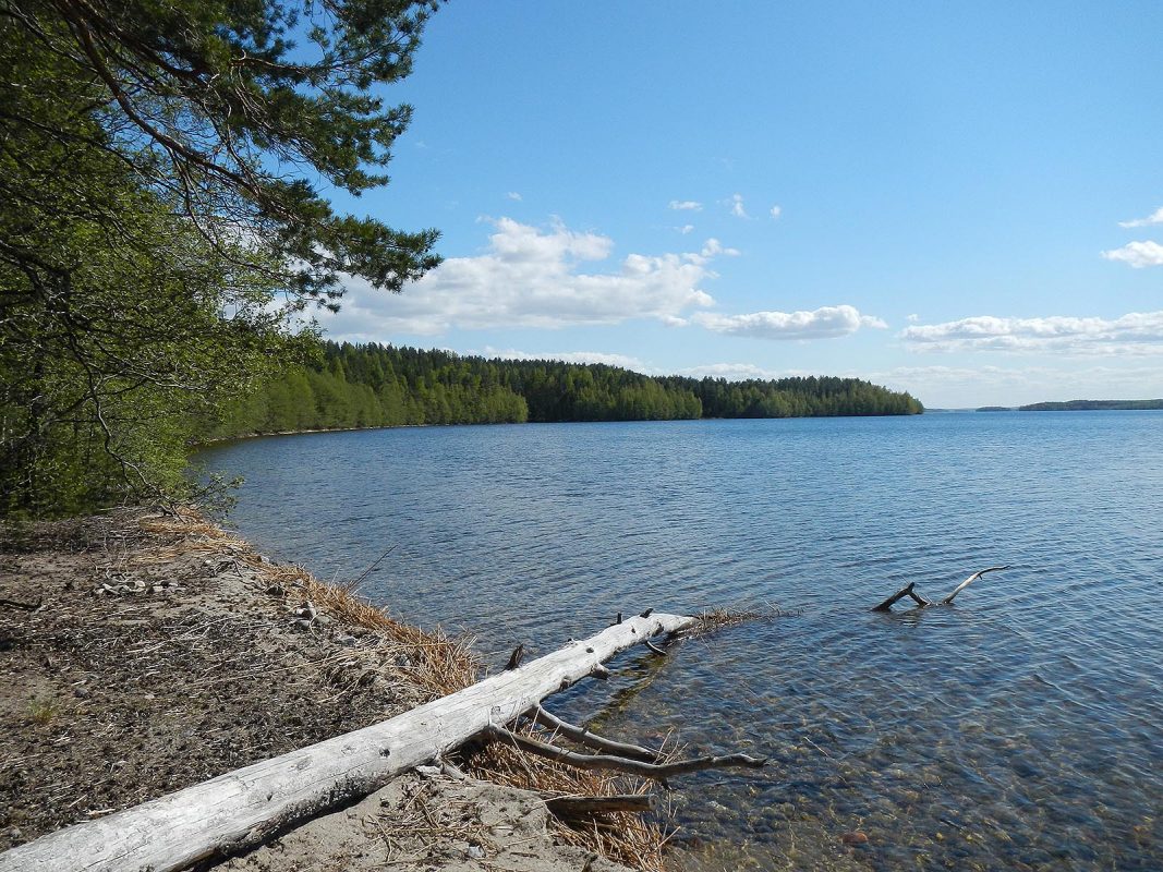 Visit Päijänne