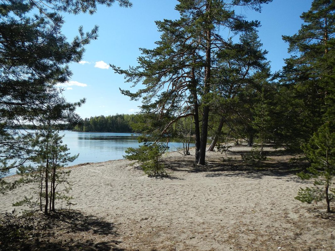 Visit Päijänne