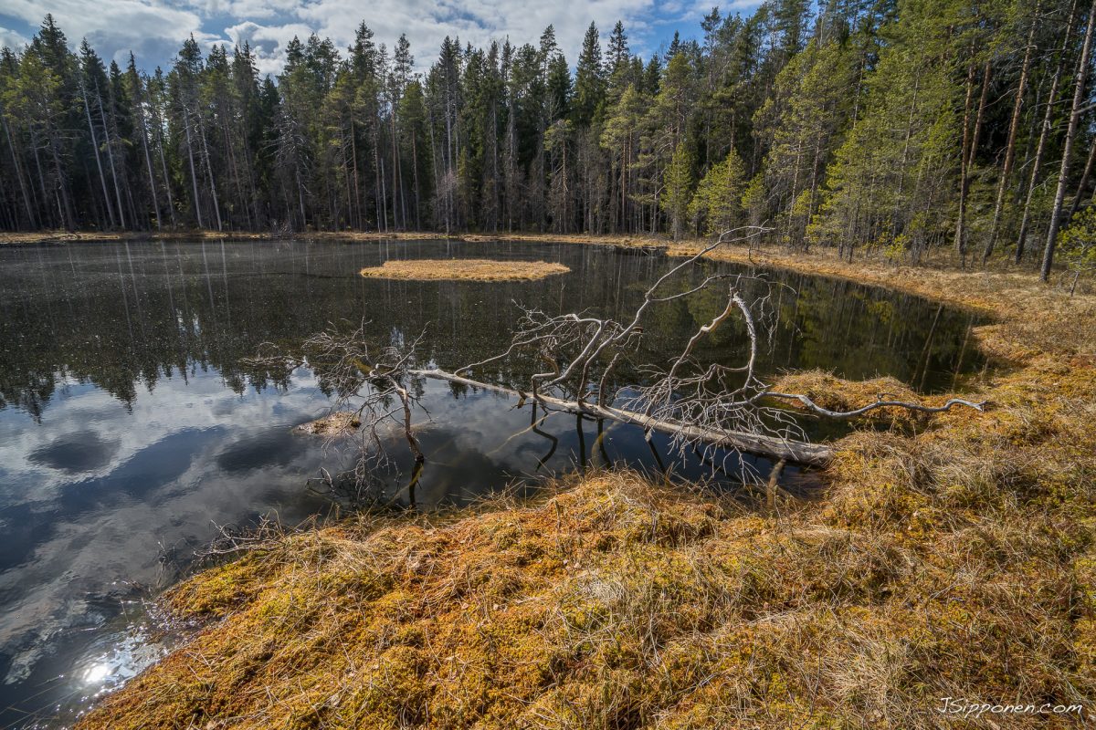 Visit Päijänne