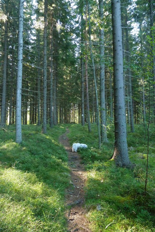 Visit Päijänne