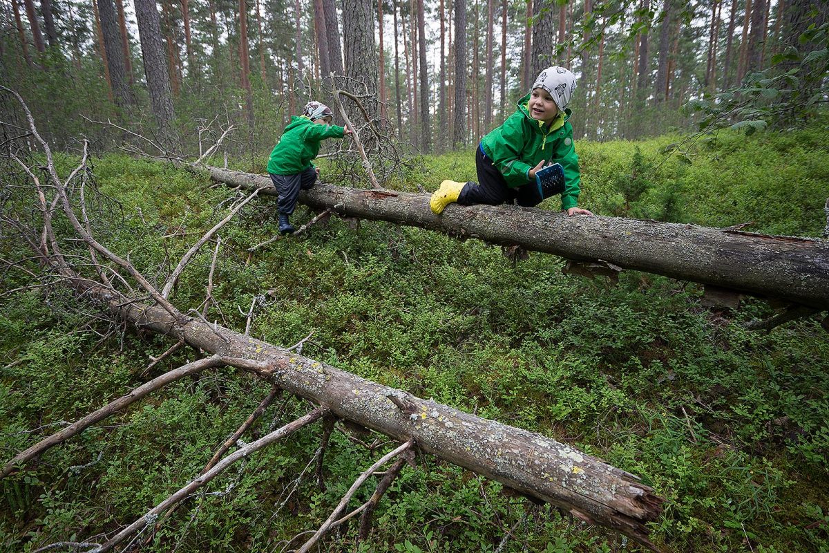 Visit Päijänne