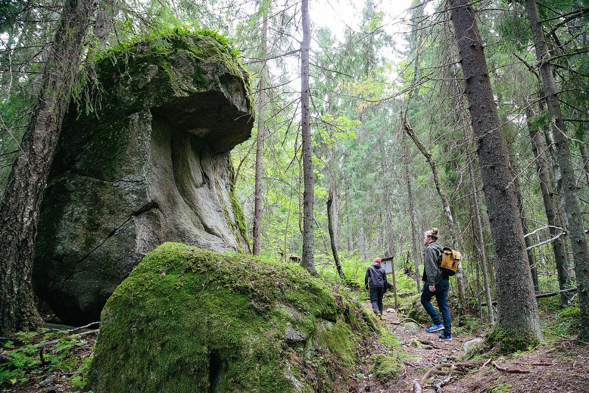 Visit Päijänne