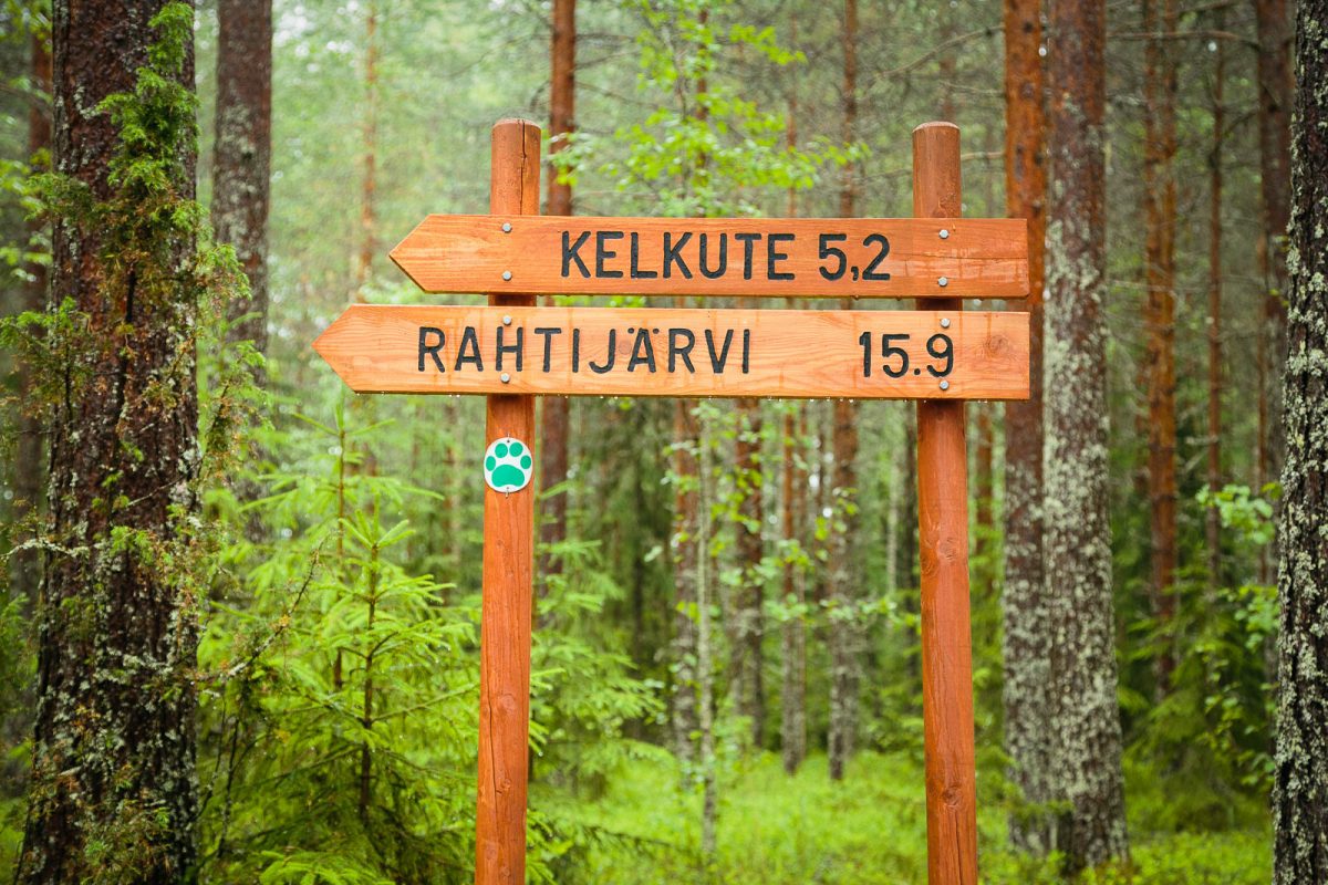 Visit Päijänne