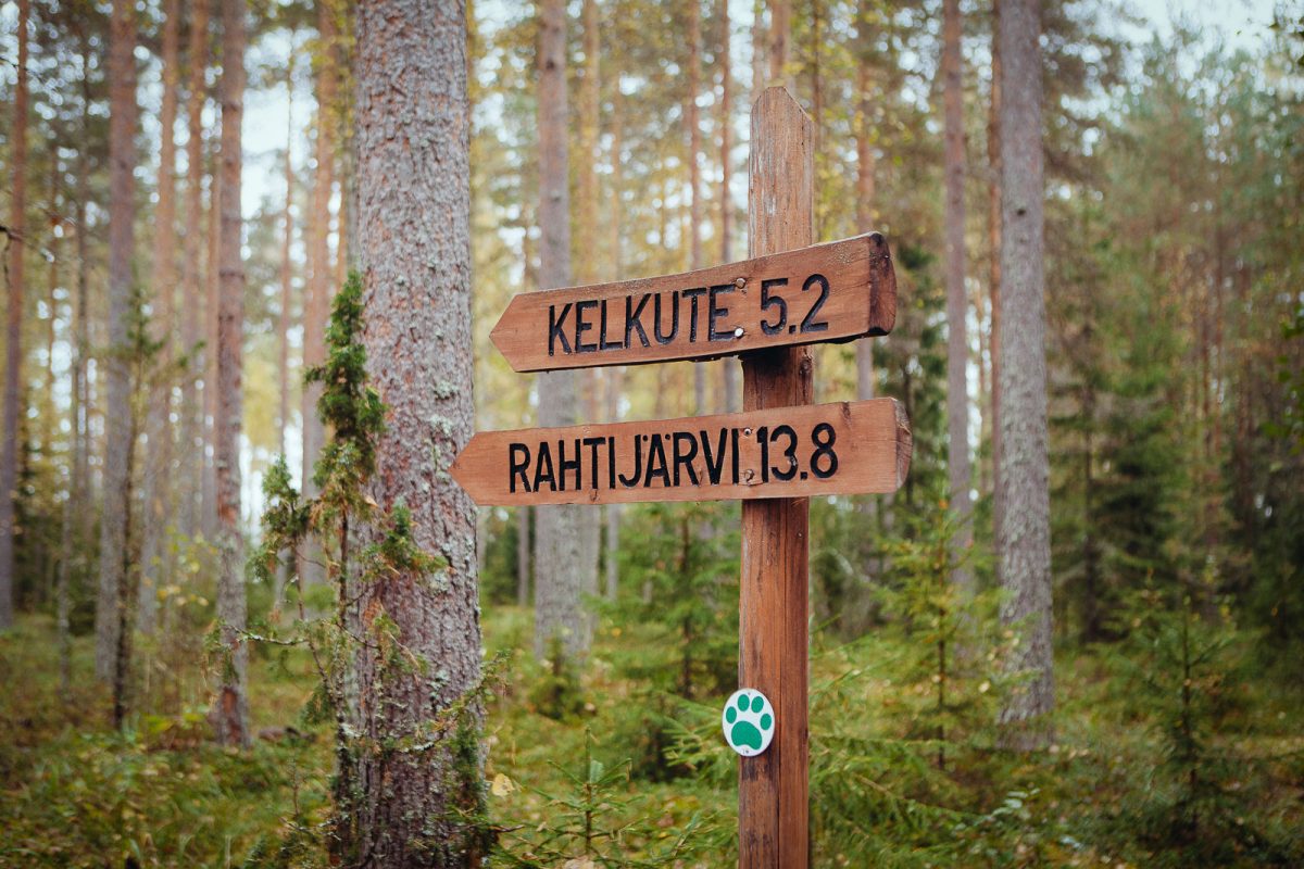 Visit Päijänne